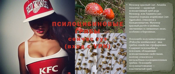 шишки Абинск