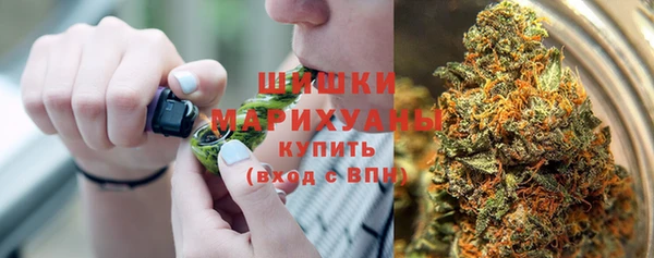 шишки Абинск