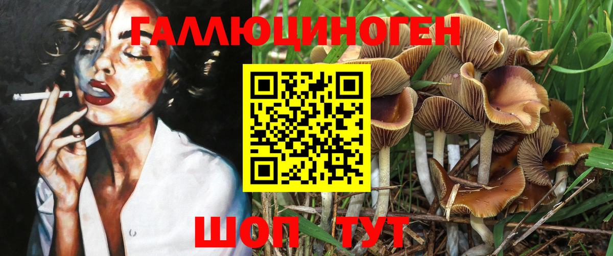 Галлюциногенные грибы Psilocybe  Вход с VPN  Галлюциногенные грибы Magic Shrooms  хочу   Калининград 